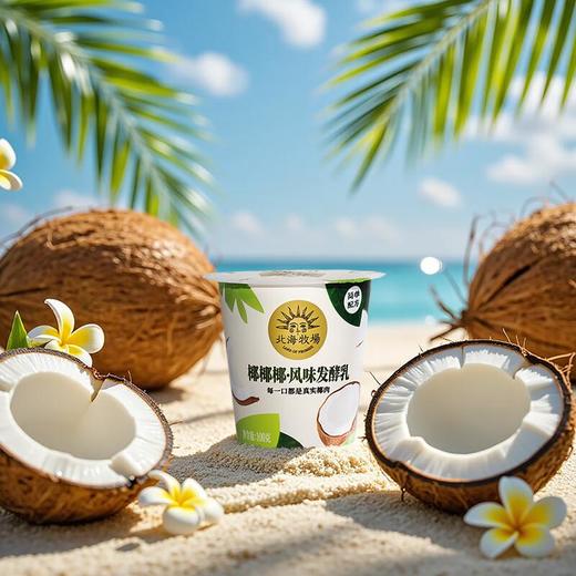 北海牧场椰椰发酵乳酸奶 100g*3/组 商品图1