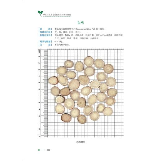 中药材饮片与原植物精细解剖组图/主编 刘丽琴 蒋金火 潘锋/浙江大学出版社 商品图3