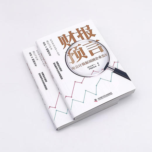 财报预言：用会计数据预测企业发展（读懂财务报表，看清企业发展趋势！） 商品图3