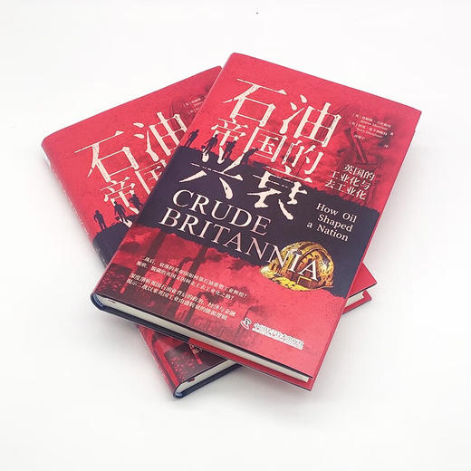 石油帝国的兴衰：英国的工业化与去工业化 商品图6