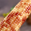 【分销】云南西双版纳花糯玉米/拇指玉米  自然生长，口感香甜，甜而不腻，营养丰富 商品缩略图1
