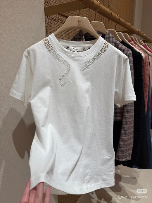 2503205   灵蛇镂空 短袖 chlo* 商品图2