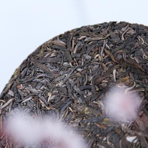 【买7送1】2025《花间泉》古树春茶 357克*1饼 生茶 商品图1