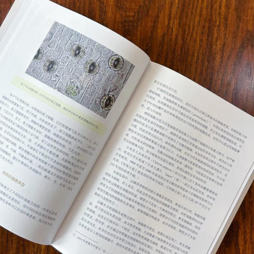 花开四季：花园里的科学（一本书教会你科学管理你的植物！植物小白都能看懂的科普力作！） 商品图5