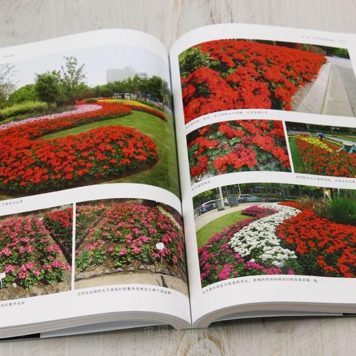 花坛全典 &2981 商品图6