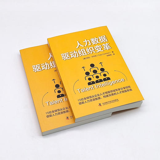 人力数据驱动组织变革：从零构建完善的人才情报体系 商品图4