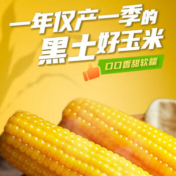 新主良黄糯玉米 3.2斤(200g*8根) 东北甜黏玉米棒低脂早餐苞米真空包装 /粮油调味 /杂粮 /谷米类 商品图1