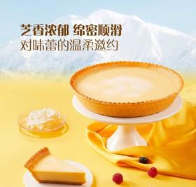 MM日式风味芝士挞（1.3KG）