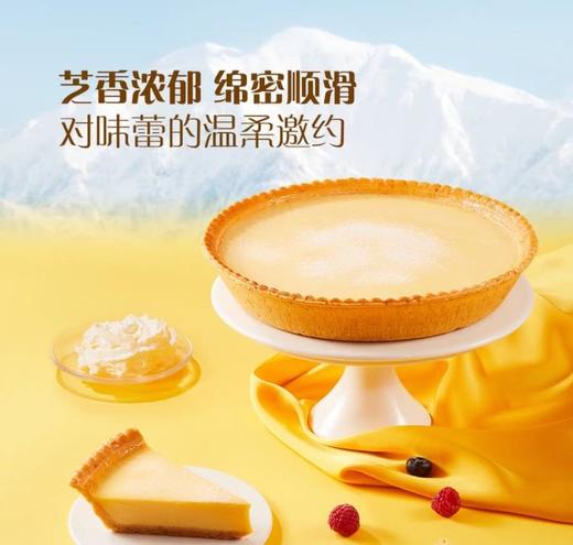 MM日式风味芝士挞（1.3KG） 商品图0