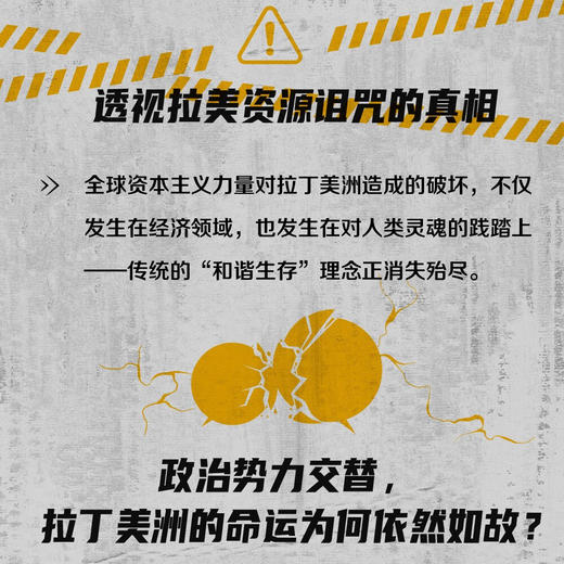 黄金、石油和牛油果：16件商品中的拉丁美洲发展历程 商品图1