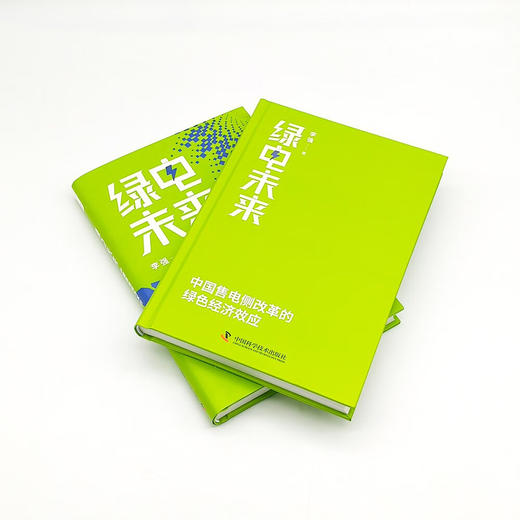 绿电未来：中国售电侧改革的绿色经济效应 商品图5