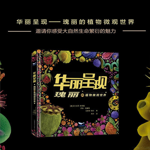 华丽呈现：瑰丽的植物微观世界 商品图1