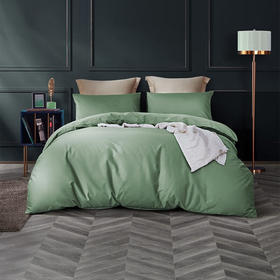 罗莱（LUOLAI） 简粹60S全棉贡缎四件套【HSZBSW5.0】