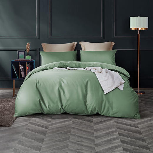 罗莱（LUOLAI） 简粹60S全棉贡缎四件套【HSZBSW5.0】 商品图0