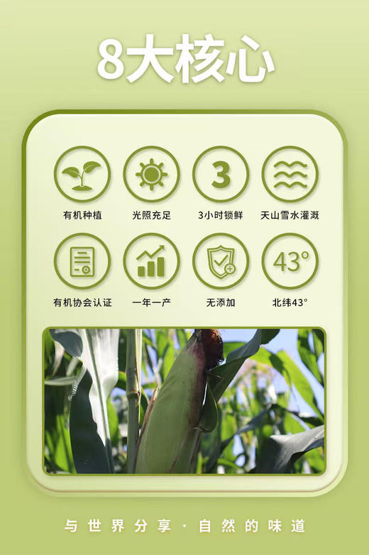 新疆有机玉米1.4Kg 商品图8