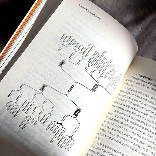 大规模因材施教的课程模式 新质课程文化丛书 林俊红 课程设计 商品图11