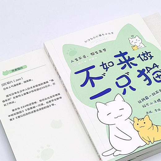 不如来做一只猫：跟猫咪学习62个消除负面情绪的小技巧（日本人气漫画家耶六新作！附赠精美猫猫书签！） 商品图5