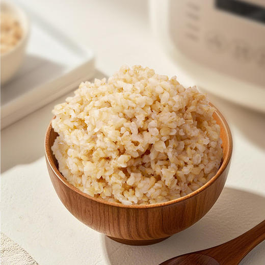 全食物日记x日呷呷 发芽糙米500g 商品图1