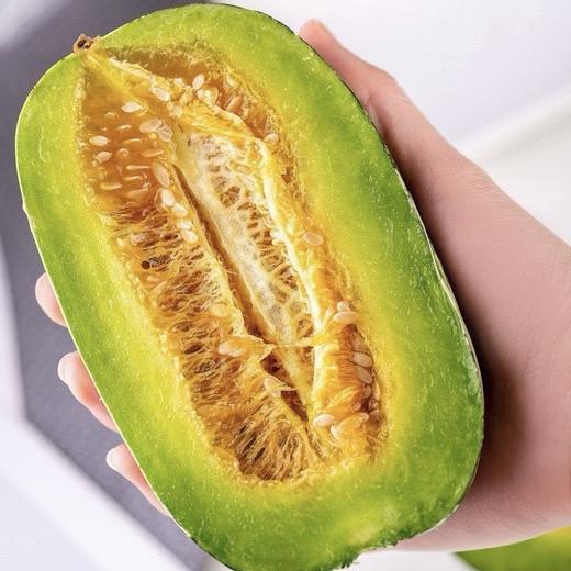 山东头茬博洋9号蜜瓜  3斤装/4.5斤装 商品图2