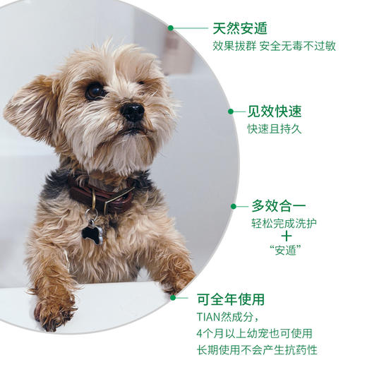 德国 cdVet 施德维特 安遁香波 1L（配泵头） 商品图2