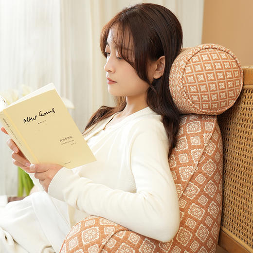 菱形雏菊系列拼色颈枕护腰靠床头靠垫软包大靠背高级感腰靠卧室可拆洗 商品图1