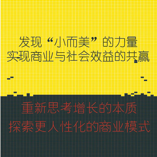 迟缓的巨人：“大而不能倒”的反思与人性化转向 商品图2