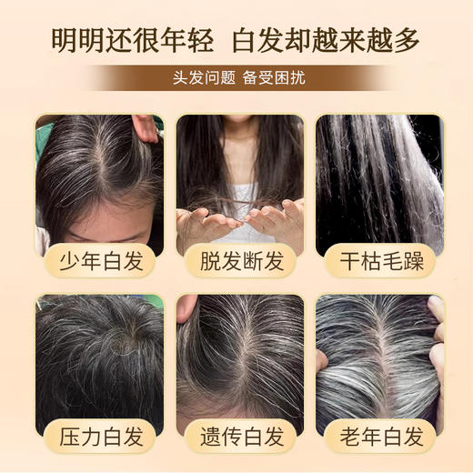 【年货节：自研膏滋买1送1】兰渚堂自研十黑膏 玉竹膏 玉灵膏 肥儿膏 肥健膏 黄精膏 山楂六物膏 商品图1