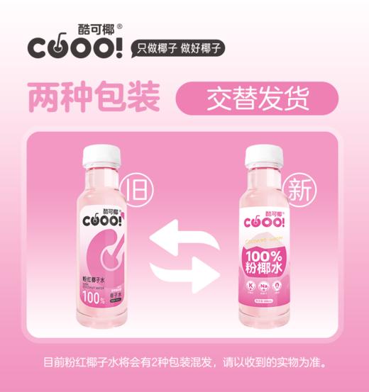 【酷可椰】粉红椰子水（瓶装）300ml（8瓶装/15瓶装可选） 商品图5
