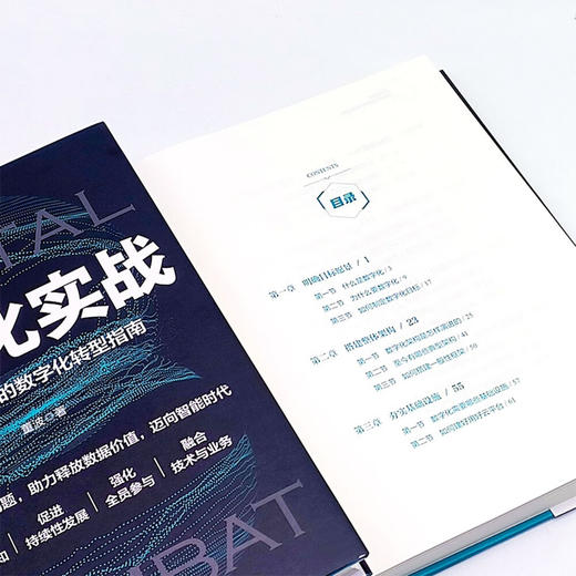 数字化实战：政府和企业的数字化转型指南  智能社会与科技应用系列图书 商品图8