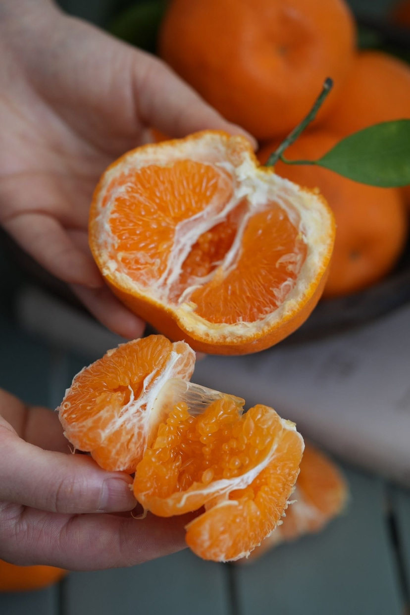 春见耙耙柑，浓郁好吃