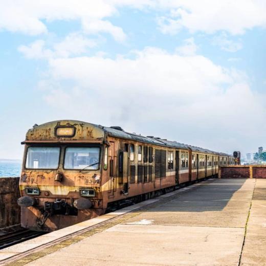 何以锡兰，殖民阴影下斯里兰卡动物王国探险safari【灵迹】8天7晚 商品图6