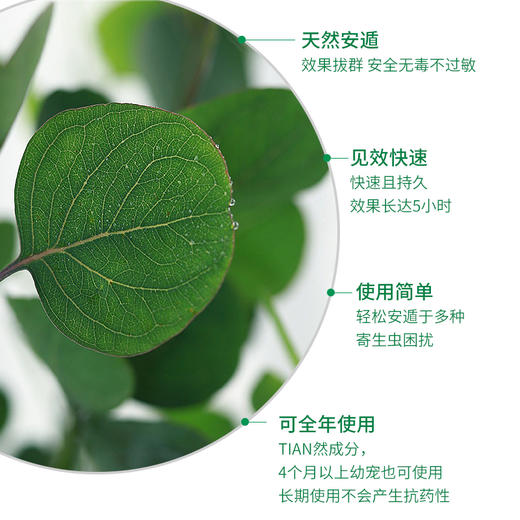 德国 cdVet 施德维特 安遁皮毛喷雾 100ml（礼盒含喷头） 商品图2