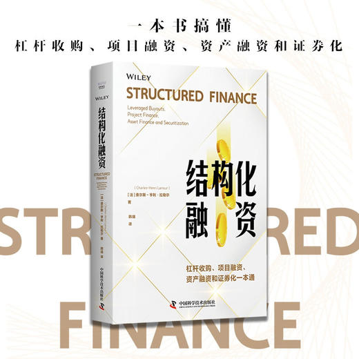 结构化融资：杠杆收购、项目融资、资产融资和证券化一本通 商品图0