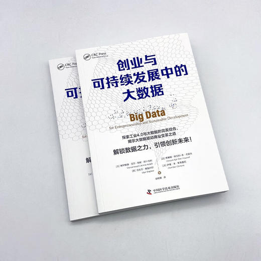 创业与可持续发展中的大数据：揭示大数据驱动商业变革之道 商品图3