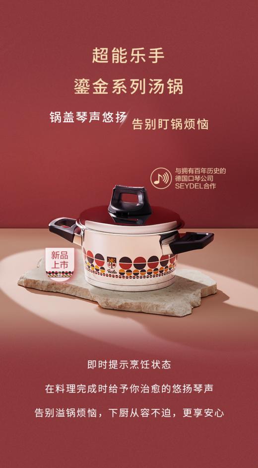 【春上新】10楼菲仕乐       24㎝鎏金汤锅 吊牌价4980元   现4980元 商品图2