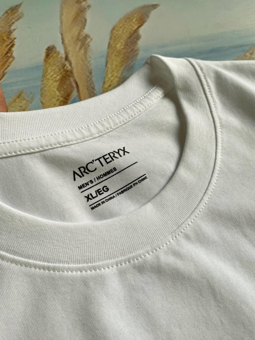 点此购买 始祖鸟春夏季三色休闲男女舒适百搭棉质短袖T恤 LL 311606 商品图9