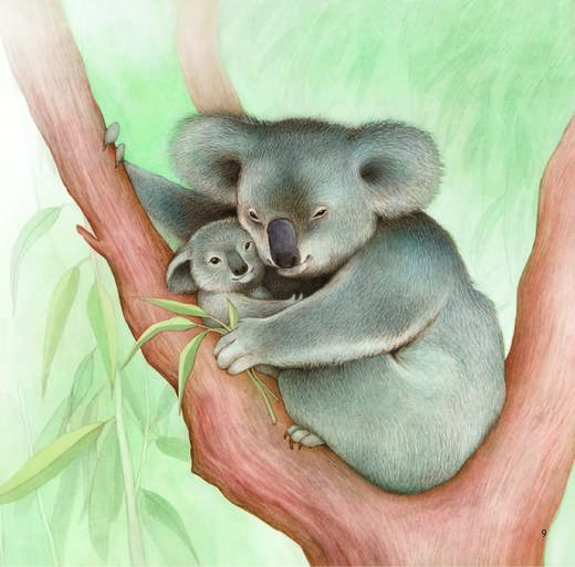 《你好！动物宝宝》（全6册） 商品图6