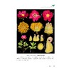 中药材饮片与原植物精细解剖组图/主编 刘丽琴 蒋金火 潘锋/浙江大学出版社 商品缩略图4