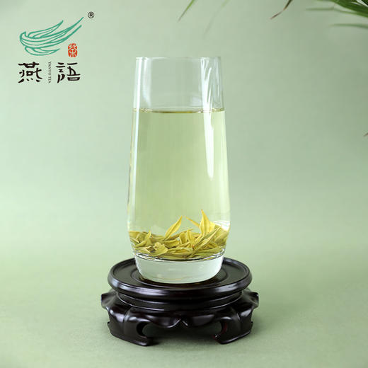 2026年燕语安吉白茶50g（尝鲜装） 商品图4