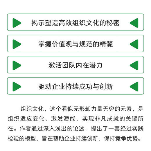 文化破局：解锁组织成功的四股力量 商品图1
