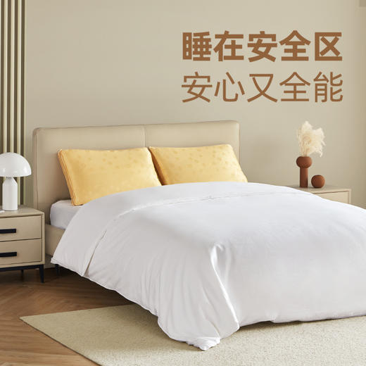 万事利低敏纯蚕丝被-万事顺意 商品图1