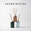 Skandinavisk北欧天然无火藤条香薰室内扩香小众香氛礼物森林海藤岛屿峡湾藤条香薰 商品缩略图4