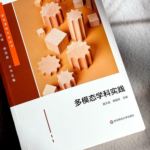 多模态学科实践 新质课程文化丛书 学科课程设计 初中案例 商品图5