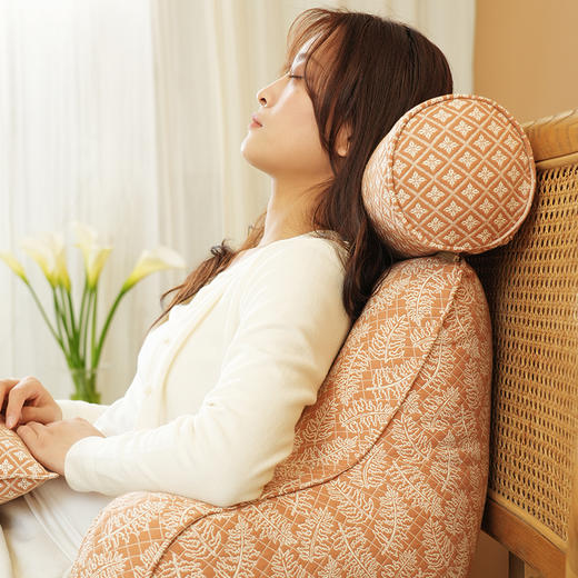 凤尾蕨系列拼色多功能颈枕护腰靠床头靠垫软包大靠背高级感腰靠卧室可拆洗 商品图0