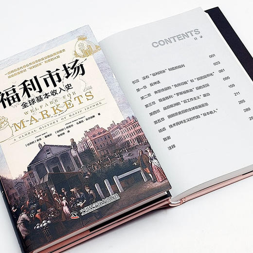 福利市场 : 全球基本收入史 商品图7