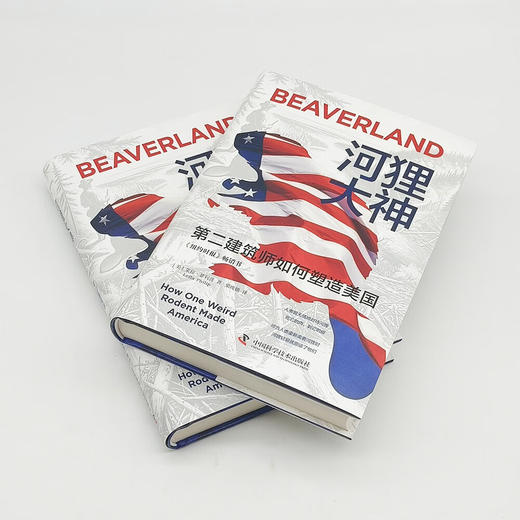 河狸大神：第二建筑师如何塑造美国 商品图2