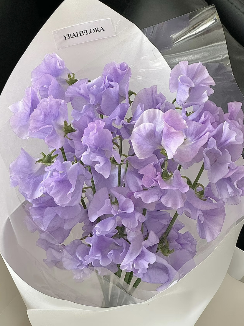 国产花材-【豌豆花】浅紫色