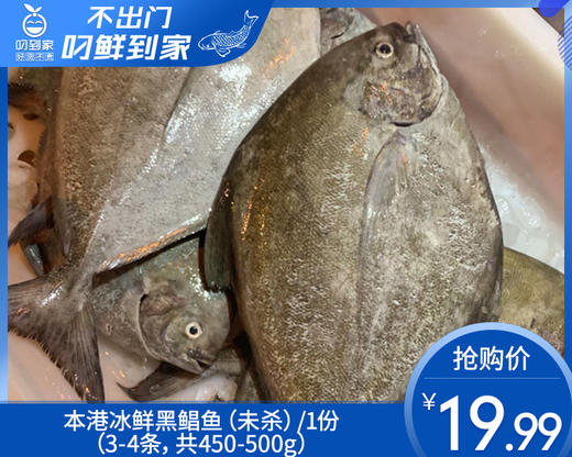 【叼鲜】本港冰鲜黑鲳鱼（未杀）/1份（3-4条，共450-500g） 商品图0