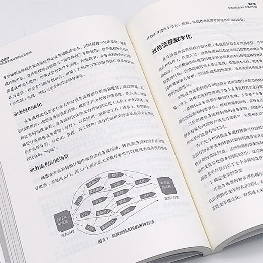 价值重塑：面向数字化转型的企业架构 商品图8