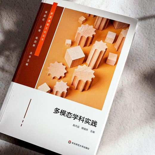多模态学科实践 新质课程文化丛书 学科课程设计 初中案例 商品图4